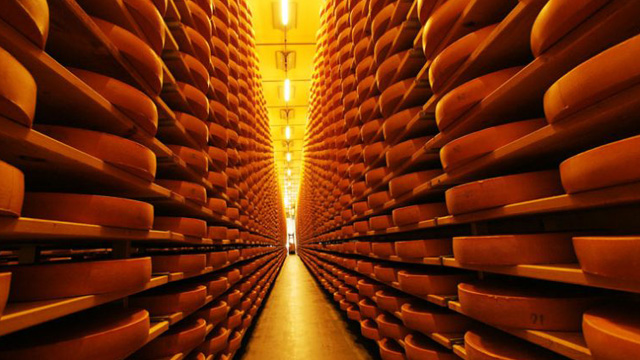 Austrian Cheese: Unsung Alpine Delicacies